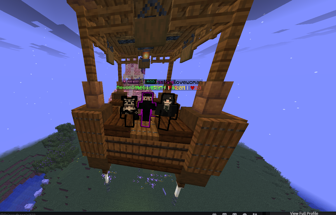 AevonSMP players spending time together — picture 10